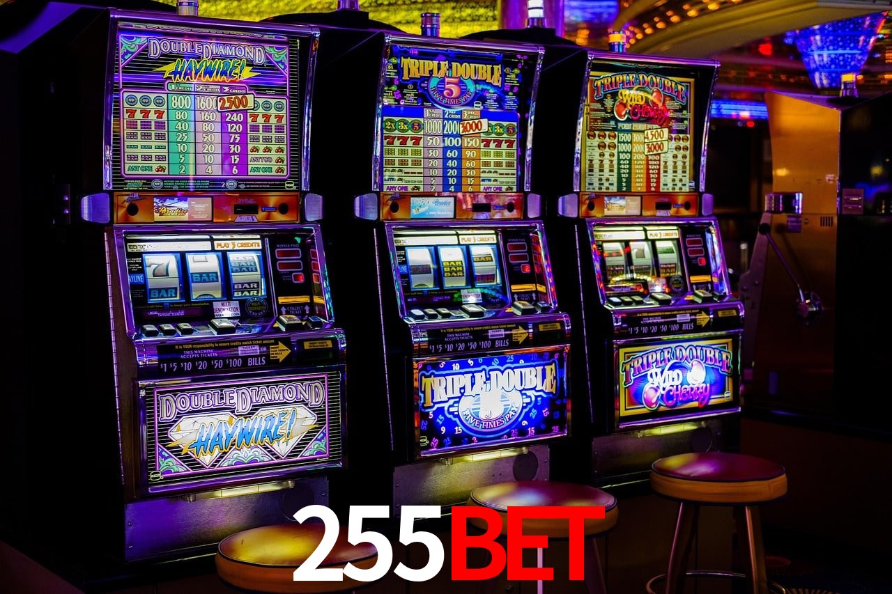 Experiência VIP 255bet
