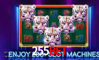 255bet,255bet baixar
